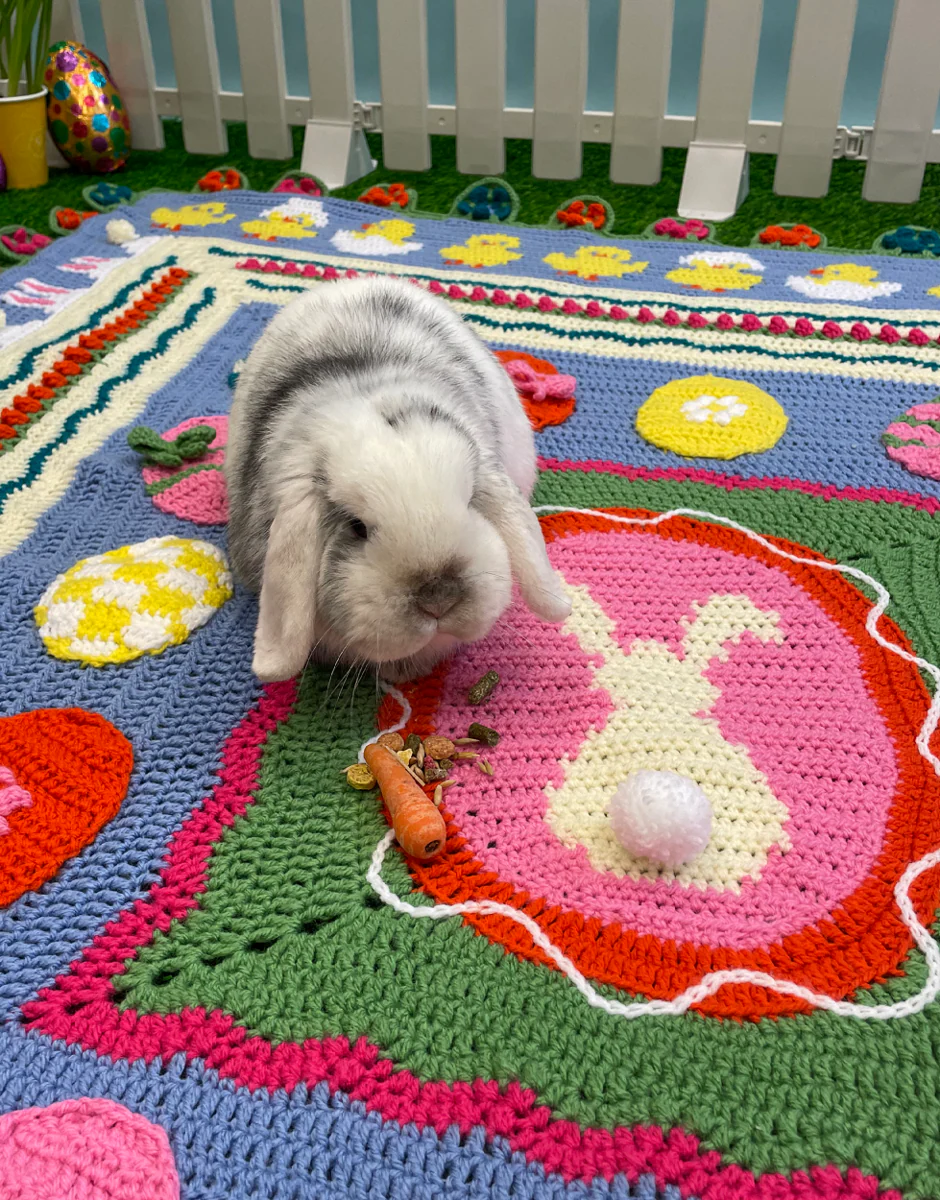 Easter Egg Blanket CAL in Hayfield Bonus Dk by Lottie and Albert - Image 6